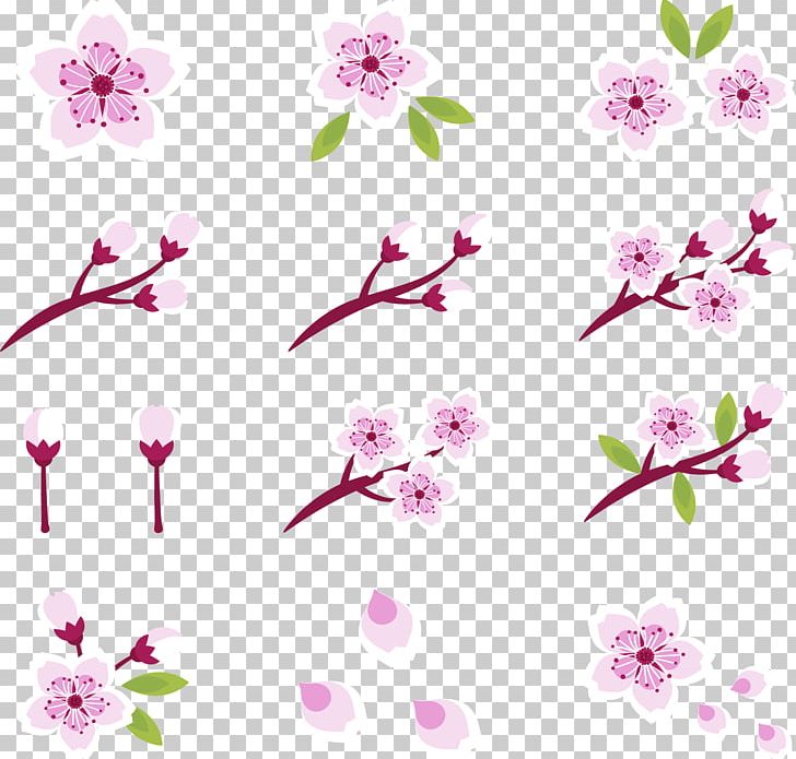 National Cherry Blossom Festival Pink PNG, Clipart, Adobe Illustrator, Beautiful Vector, Beauty, Beauty Salon, Blossom Free PNG Download