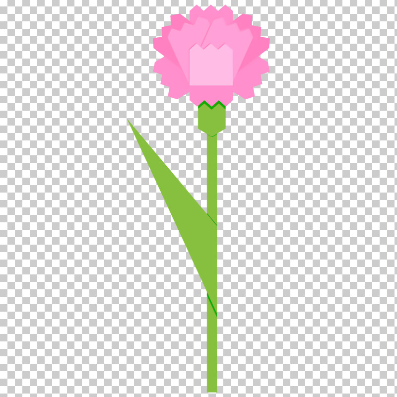 Carnation Flower PNG, Clipart, Carnation, Cut Flowers, Flower, Pink, Plant Free PNG Download