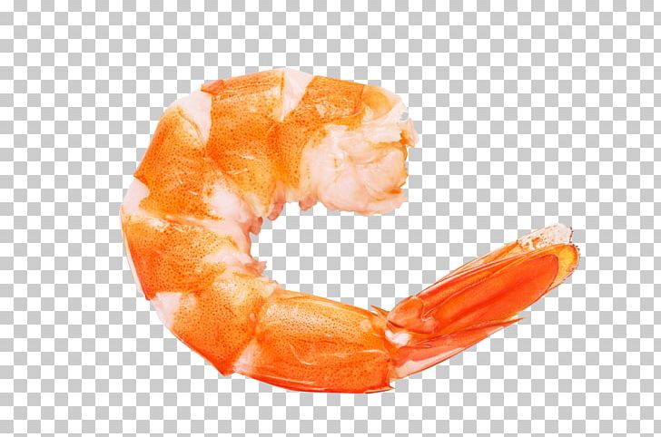 Caridea Prawn Shrimp Euclidean PNG, Clipart, Animals, Animal Source Foods, Caridea, Caridean Shrimp, Cartoon Shrimp Free PNG Download
