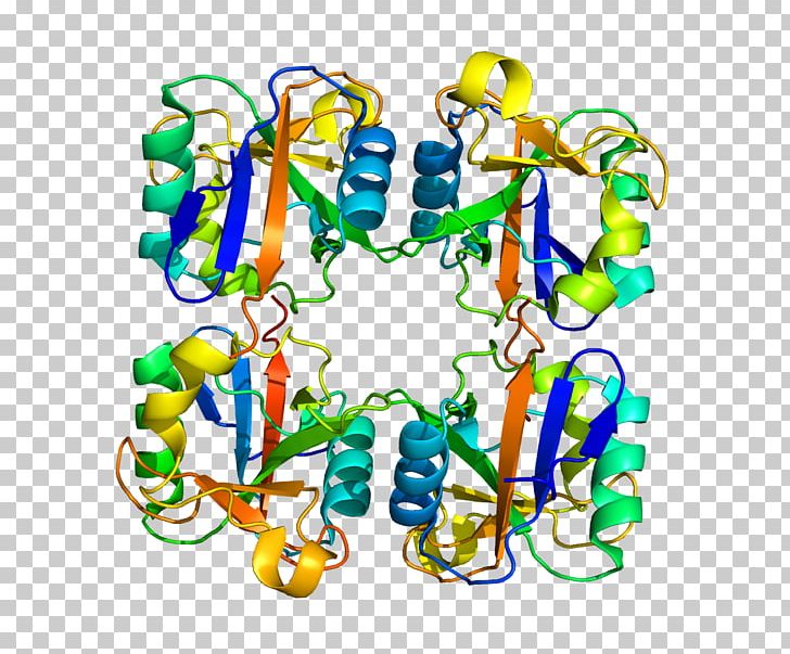 Langerin Protein C-type Lectin Langerhans Cell PNG, Clipart, 3 C, Area, Body Jewelry, Cell, Cluster Of Differentiation Free PNG Download