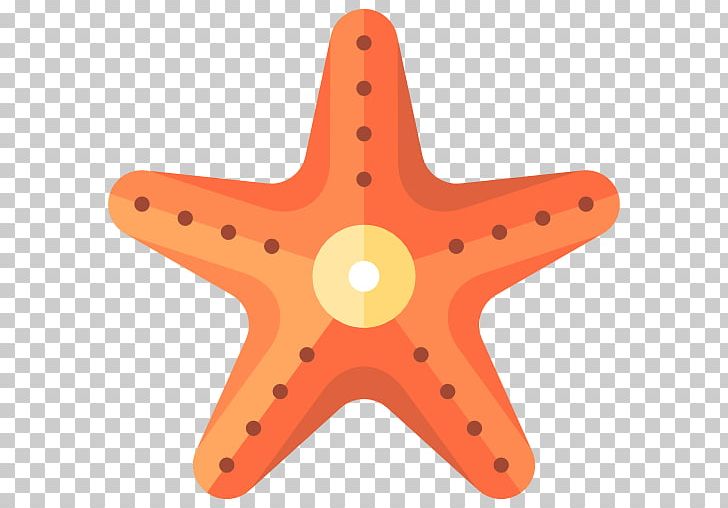 Starfish Line Echinoderm Angle PNG, Clipart, Acuairo Mar, Angle, Animals, Echinoderm, Invertebrate Free PNG Download