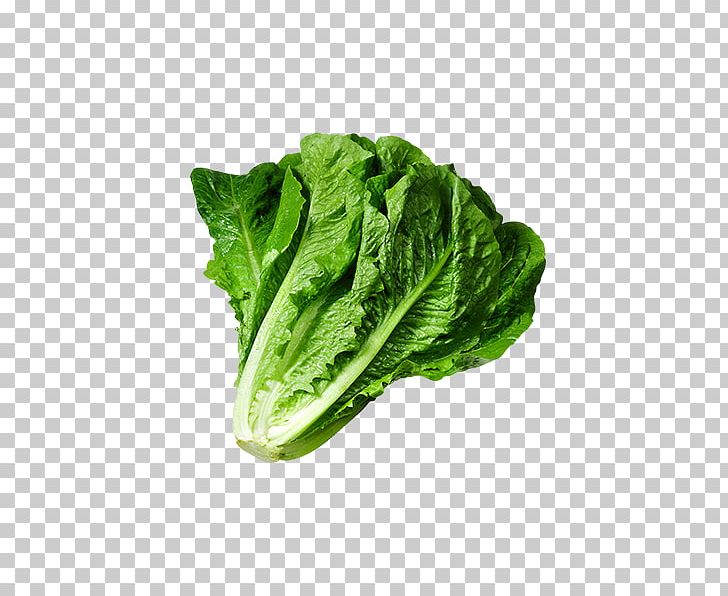 Caesar Salad Lettuce Sandwich Wrap PNG, Clipart, Bread, Broccoli, Butterhead Lettuce, Cabbage, Celtuce Free PNG Download