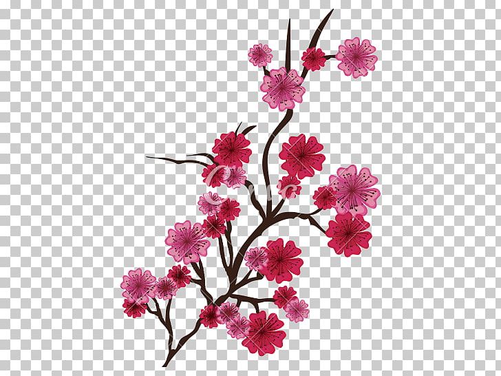 Computer Icons Cherry Blossom PNG, Clipart, Blossom, Branch, Cherry, Cherry Blossom, Computer Icons Free PNG Download