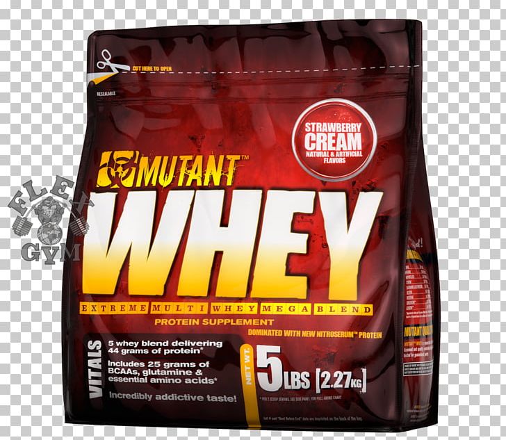 Dietary Supplement Whey Protein Mutant PNG, Clipart, Bodybuilding Supplement, Branchedchain Amino Acid, Brand, Chocolate, Dietary Supplement Free PNG Download