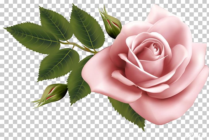 Flower Watercolor Painting PNG, Clipart, Art, Computer Wallpaper, Cut Flowers, Drawing, Encapsulated Postscript Free PNG Download