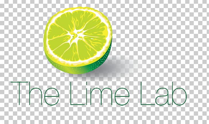 Key Lime Persian Lime Lemon Digital Marketing PNG, Clipart, Brand, Citric Acid, Citrus, Computer Wallpaper, Digital Marketing Free PNG Download