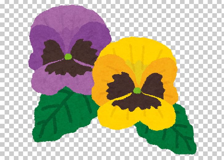 Pansy ビオラ Plate-bande Sowing Flower PNG, Clipart, Annual Plant, Flower, Flowering Plant, Green, Hanakotoba Free PNG Download