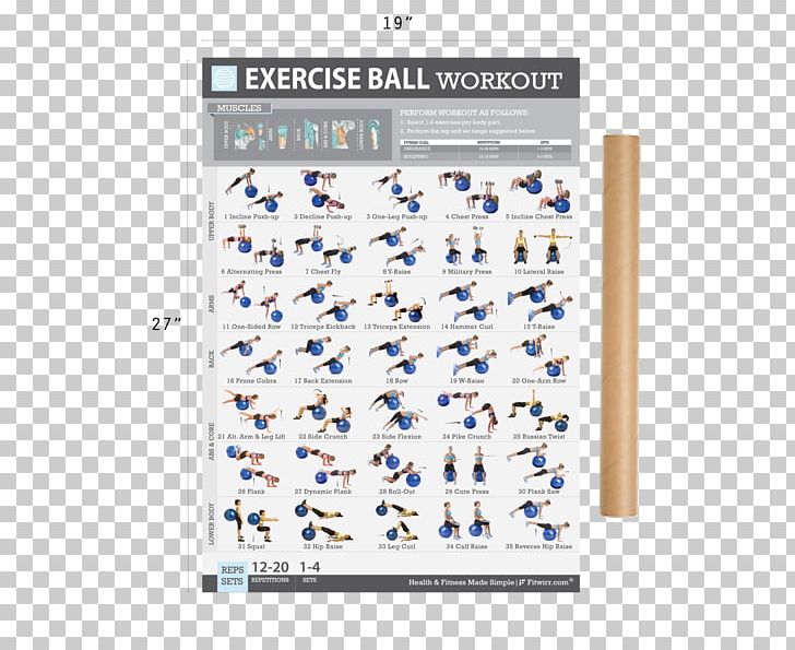 Exercise Balls Exercise Bands Dumbbell Physical Fitness PNG, Clipart, Abdominal Exercise, Ball, Blue, Core, Crunch Free PNG Download