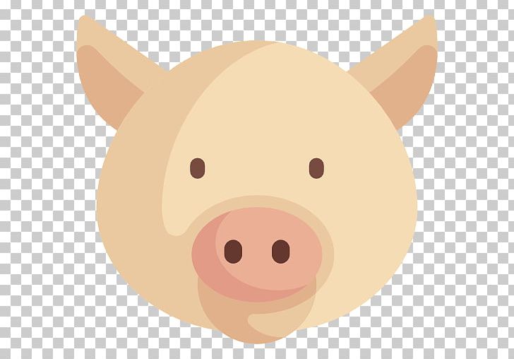 Pig Snout Carnivora Animated Cartoon PNG, Clipart, Animals, Animated Cartoon, Carnivora, Carnivoran, Head Free PNG Download