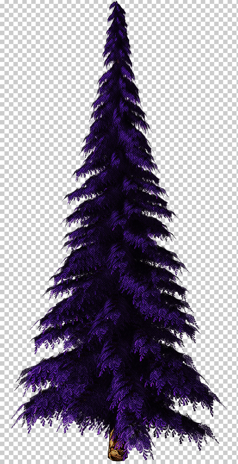 Christmas Tree PNG, Clipart, American Larch, Christmas Decoration, Christmas Tree, Colorado Spruce, Conifer Free PNG Download