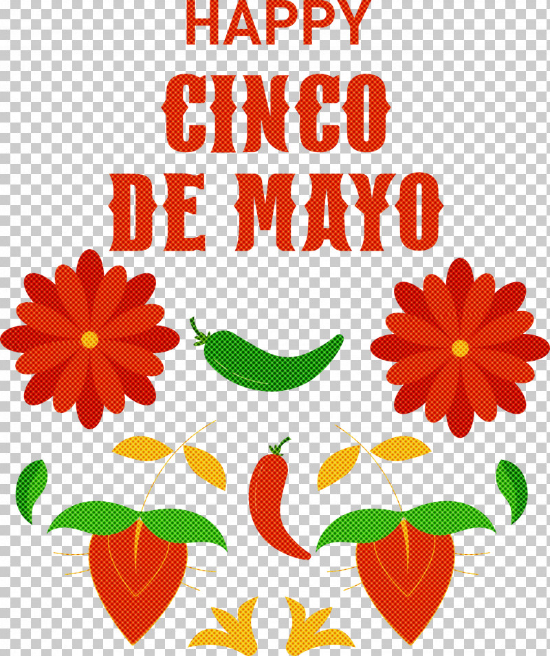 Cinco De Mayo Fifth Of May Mexico PNG, Clipart, Cinco De Mayo, Cut Flowers, Fifth Of May, Floral Design, Flower Free PNG Download