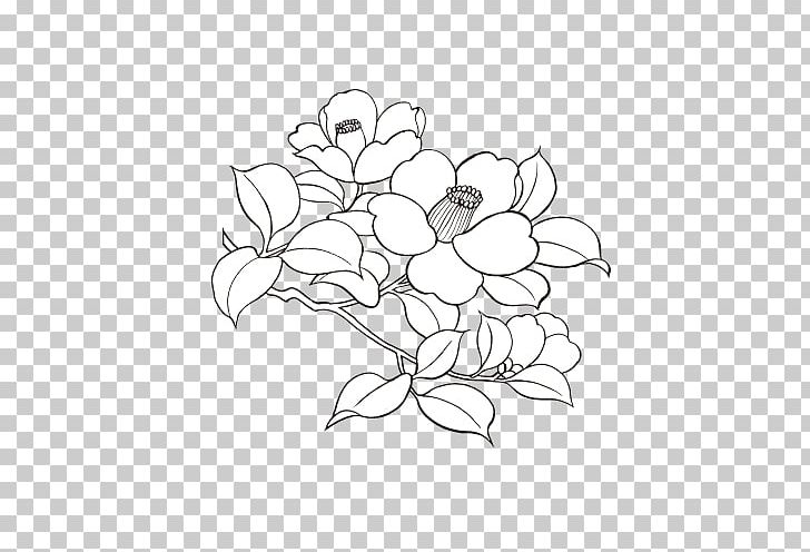 Drawing Color Flower PNG, Clipart, Area, Art, Artwork, Black And White, Branch Free PNG Download