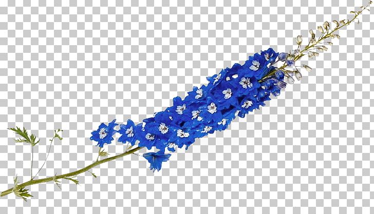 Flower Floral Design PNG, Clipart, Animation, Art, Bead, Bez, Blue Free PNG Download