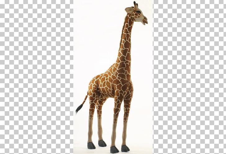 Giraffe Neck Stuffed Animals & Cuddly Toys Wildlife PNG, Clipart, Animal, Animals, Centimeter, Fauna, Giraffe Free PNG Download