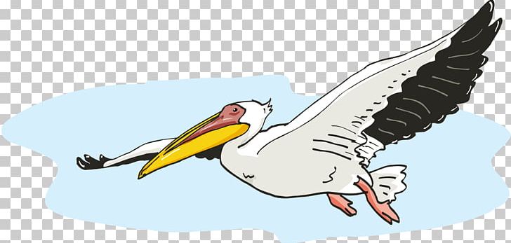 Pelican Platypus Duck Beak Bird PNG, Clipart, Anatidae, Animals, Beak, Bird, Bird Of Prey Free PNG Download