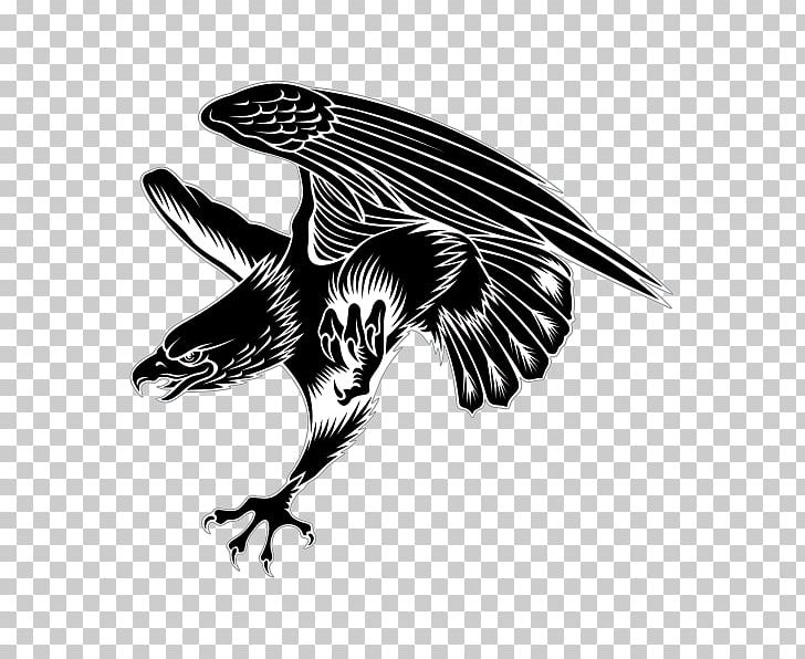 Bald Eagle Sticker Decal Hawk PNG, Clipart, Beak, Bird, Bird Of Prey, Black And White, Character Free PNG Download