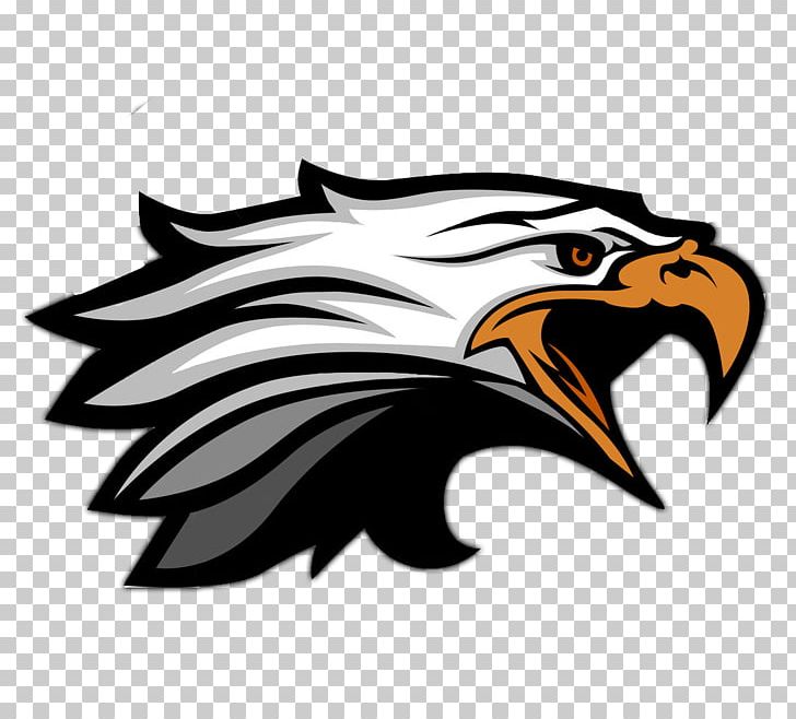 East Dayton Christian School National Secondary School Elementary School PNG, Clipart, Bald Eagle, Beak, Bird, Bird Of Prey, Carnivoran Free PNG Download