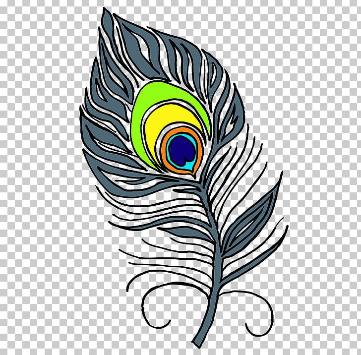 Feather Bird Peafowl PNG, Clipart, Animals, Artwork, Asiatic Peafowl, Bird, Clip Art Free PNG Download