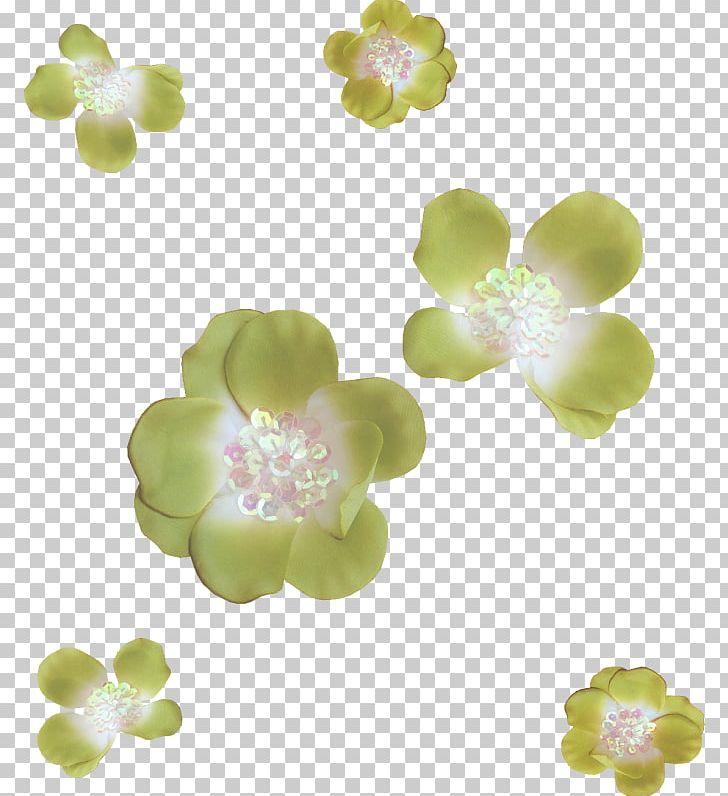 Petal Flower PNG, Clipart, Cherry Blossom, Cicek, Cicekler, Computer Icons, Data Free PNG Download