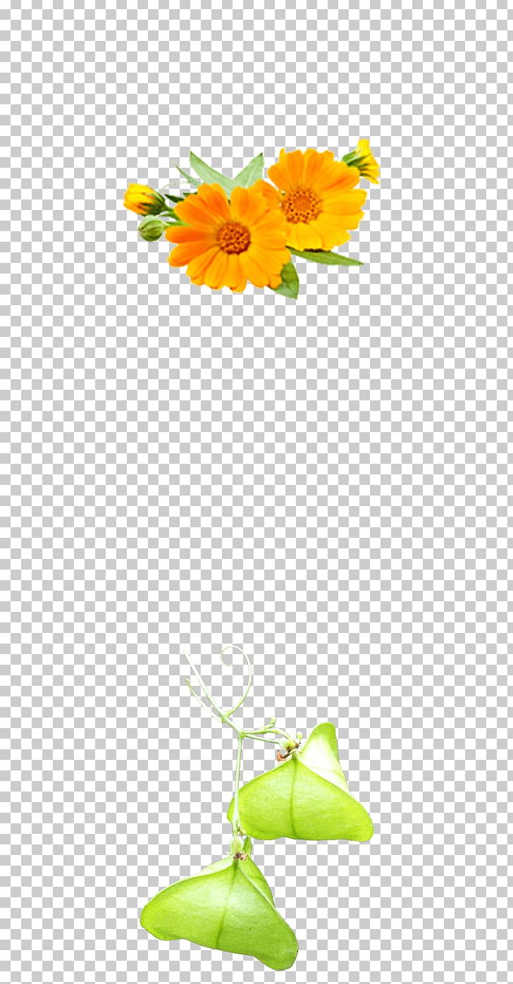 Common Sunflower Floral Design Cut Flowers Hair Styling Products PNG, Clipart, Calendula Officinalis, Common Sunflower, Cut Flowers, Floral Design, Floristry Free PNG Download
