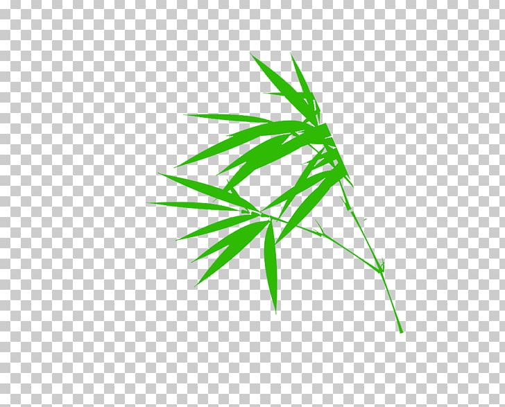 Illustration PNG, Clipart, Bamboo, Bamboo Border, Bamboo Frame, Bamboo Leaf, Bamboo Leaves Free PNG Download
