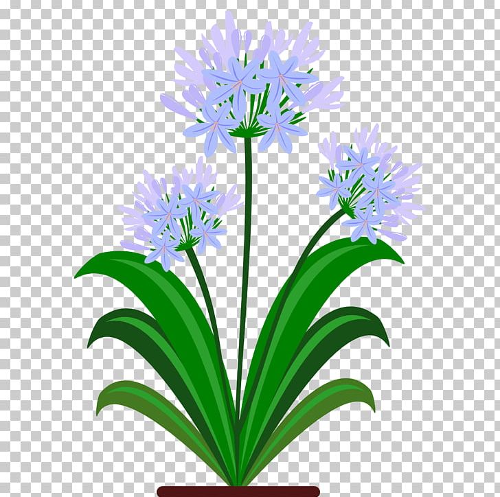 Cut Flowers Lily Of The Nile PNG, Clipart, 20171204, Bellflower, Bellflower Family, Cut Flowers, Drawing Flower Free PNG Download