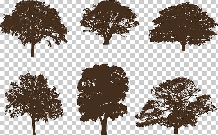 Oak Silhouette Graphics Tree PNG, Clipart, Acorn, Animals, Branch, Computer Icons, Leaf Free PNG Download