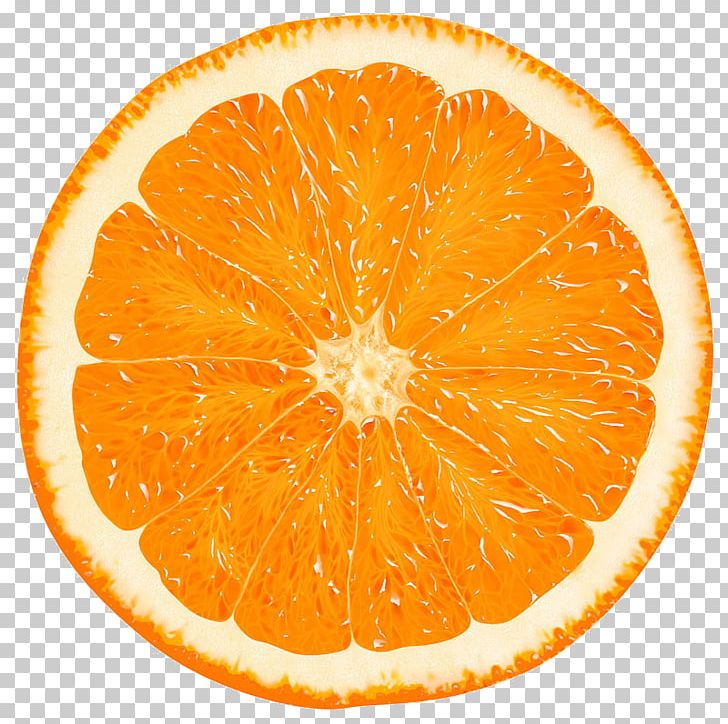 Orange Slice Tangerine Citrus × Sinensis PNG, Clipart, Bitter Orange, Citric Acid, Citrus, Citrus Sinensis, Clementine Free PNG Download