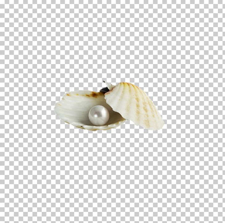 Pearl Seashell PNG, Clipart, Conch, Download, Drawing, Encapsulated Postscript, Gratis Free PNG Download