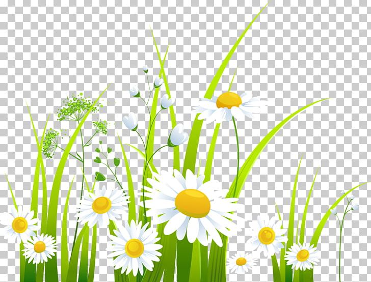Spring PNG, Clipart, Chrysanthemum Chrysanthemum, Chrysanthemums, Computer Wallpaper, Daisy Family, Flower Free PNG Download