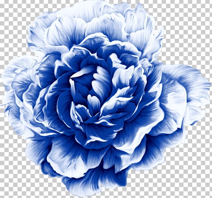 Watercolor Painting Moutan Peony PNG, Clipart, Art, Blue, Blue And White Porcelain Material, Cut Flowers, Download Free PNG Download
