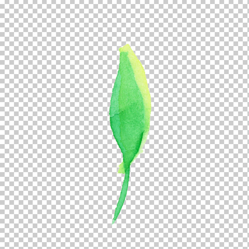 Feather PNG, Clipart, Feather, Flower, Green, Leaf, Plant Free PNG Download