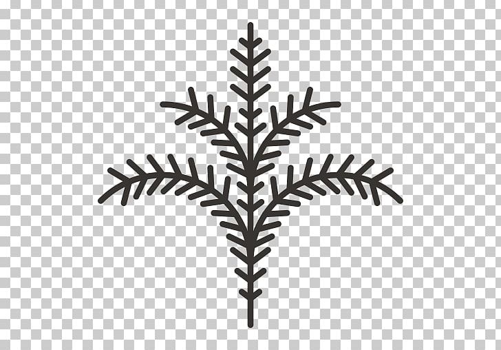 Coloring Book Twig Illustration Drawing Computer Icons PNG, Clipart, Ausmalbild, Black And White, Book, Branch, Coloring Book Free PNG Download