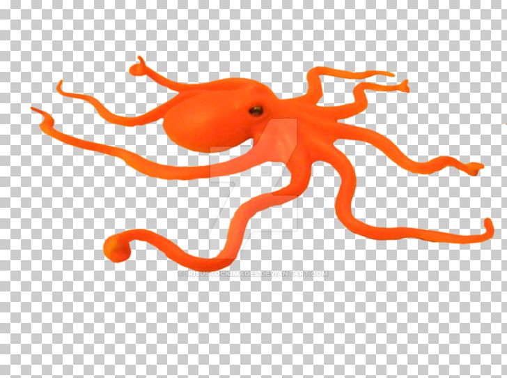Enteroctopus Dofleini Cephalopod PNG, Clipart, Cartoon, Cephalopod, Child, Download, Drawing Free PNG Download