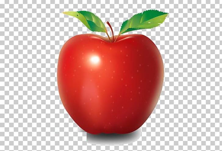 Light Apple Rendering PNG, Clipart, Acerola Family, Apple Fruit, Apple Leaves, Apple Logo, Apple Tree Free PNG Download