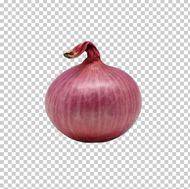 Shallot PNG Transparent Images Free Download, Vector Files