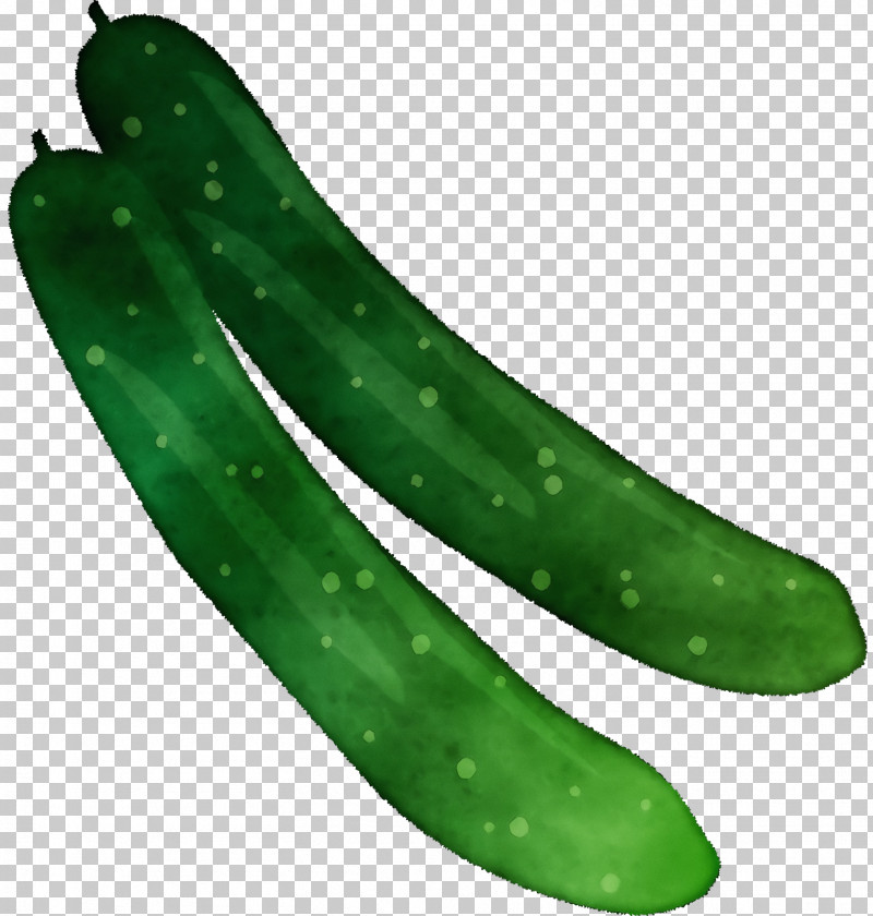 Cucumber Fermented Cucumbers PNG, Clipart, Cucumber, Fermented Cucumbers, Paint, Watercolor, Wet Ink Free PNG Download