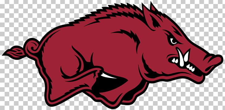 Arkansas Razorbacks Football Arkansas Razorbacks Women's Basketball ...