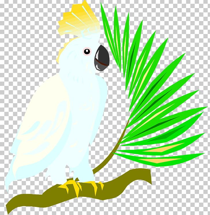 Budgerigar Cockatoo Free Content PNG, Clipart, Animation, Area, Art, Artwork, Beak Free PNG Download
