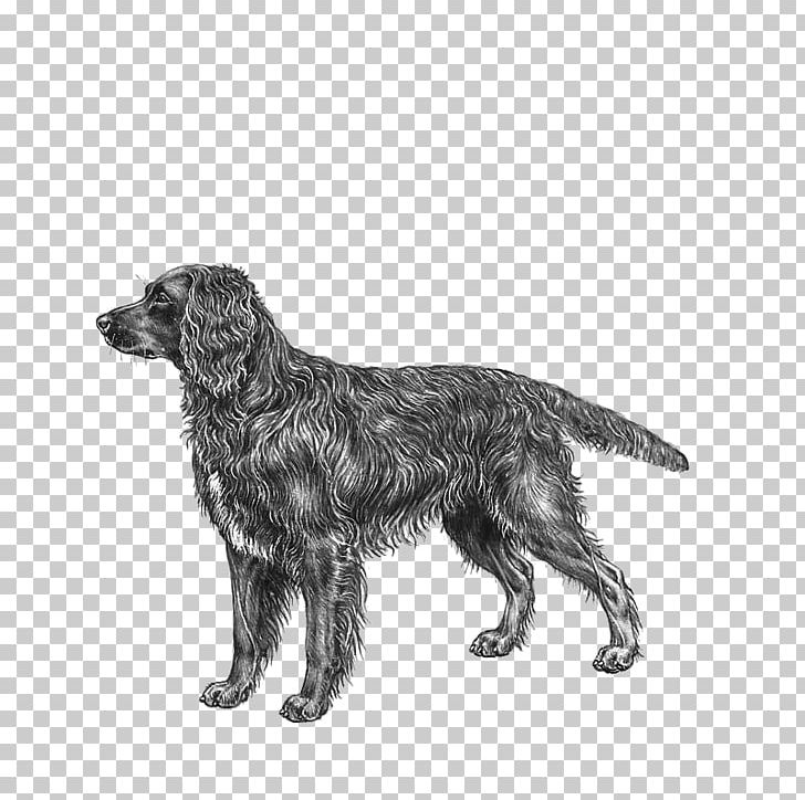 Flat-Coated Retriever Field Spaniel German Spaniel Dog Breed PNG, Clipart, Black And White, Breed, Breed Group Dog, Carnivoran, Character Structure Free PNG Download