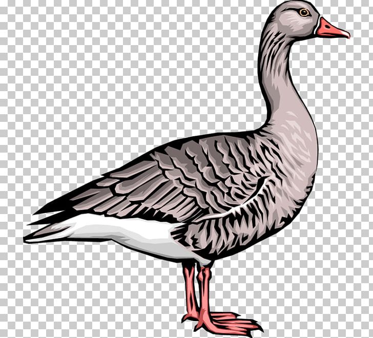 Goose Duck Computer Icons PNG, Clipart, Animals, Art, Beak, Bird, Computer Icons Free PNG Download