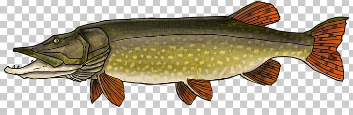 Northern Pike Carp Perch Recreational Fishing PNG, Clipart, Animal Figure, Bony Fish, Carp, Common Rudd, Fauna Free PNG Download