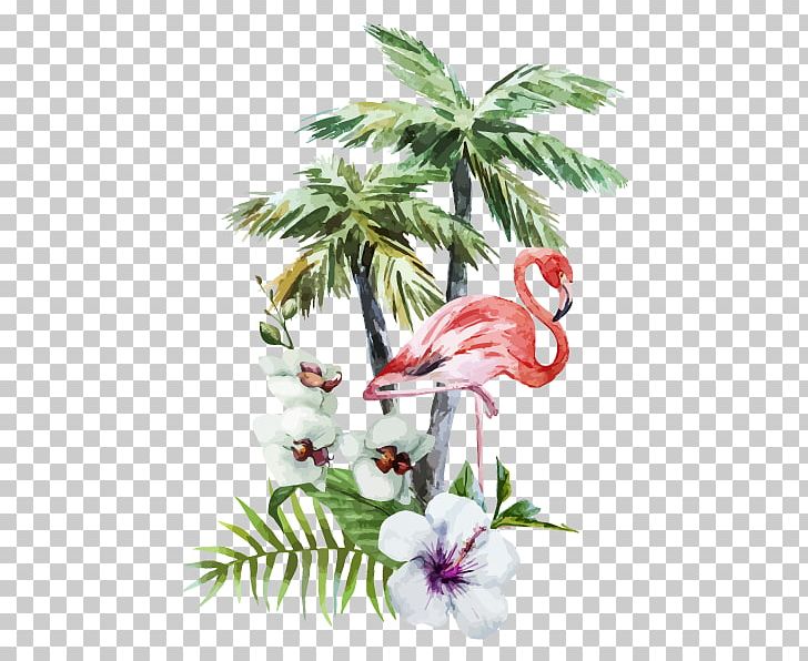 Arecaceae Watercolor Painting PNG, Clipart, Arecaceae, Art, Beak, Bird, Branch Free PNG Download