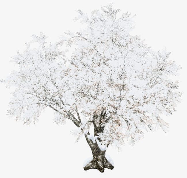 Beautiful Snow Tree PNG, Clipart, Beautiful Clipart, Pretty, Pretty Snow, Scene, Snow Free PNG Download