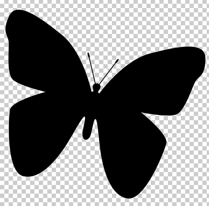 Butterfly Ping Pong PNG, Clipart, Art, Arthropod, Black, Black And White, Brush Footed Butterfly Free PNG Download