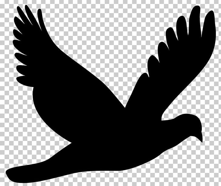 Columbidae Silhouette PNG, Clipart, Animals, Art, Beak, Bird, Birds Of Paradise Free PNG Download