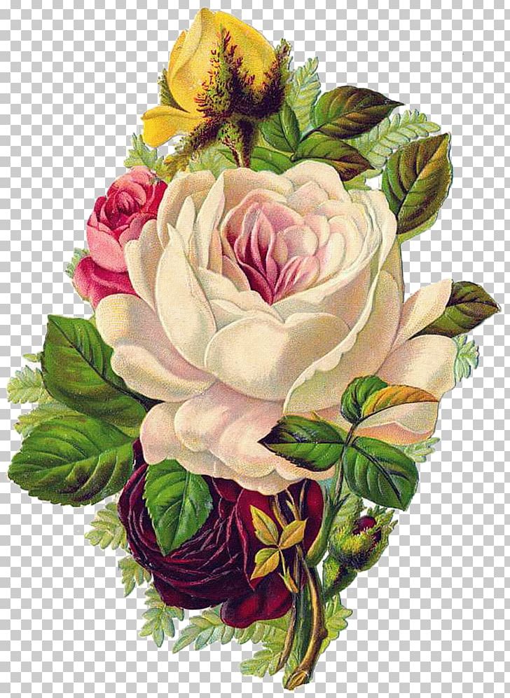 Centifolia Roses Vintage Clothing Flower PNG, Clipart, Artificial Flower, Centifolia Roses, Cut Flowers, Floral Design, Floristry Free PNG Download