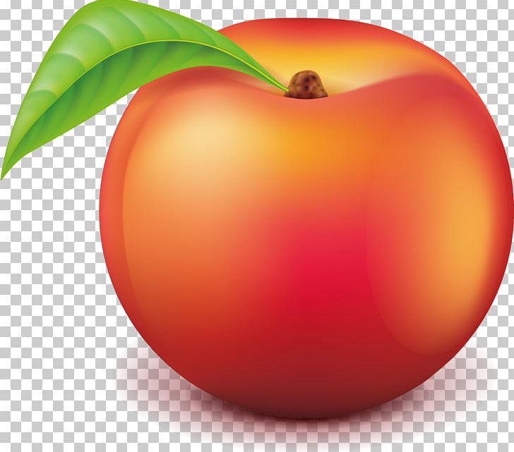 Peach Auglis PNG, Clipart, Apple, Auglis, Computer, Computer Wallpaper, Diet Food Free PNG Download