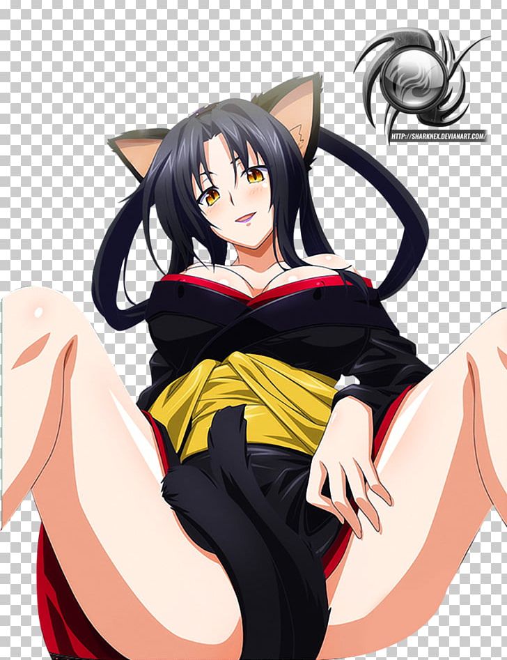 High School DxD Rias Gremory National Secondary School Anime PNG, Clipart, Adult High School, Anime, Black Hair, Brown Hair, Cartoon Free PNG Download