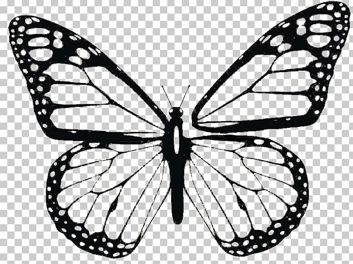 Monarch Butterfly Coloring Book Adult Child PNG, Clipart, Adult, Arthropod, Biological Life Cycle, Black And White, Book Free PNG Download